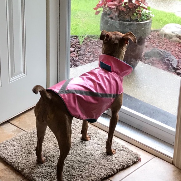 Meet your Posher, Deb - Picture 4 of 5